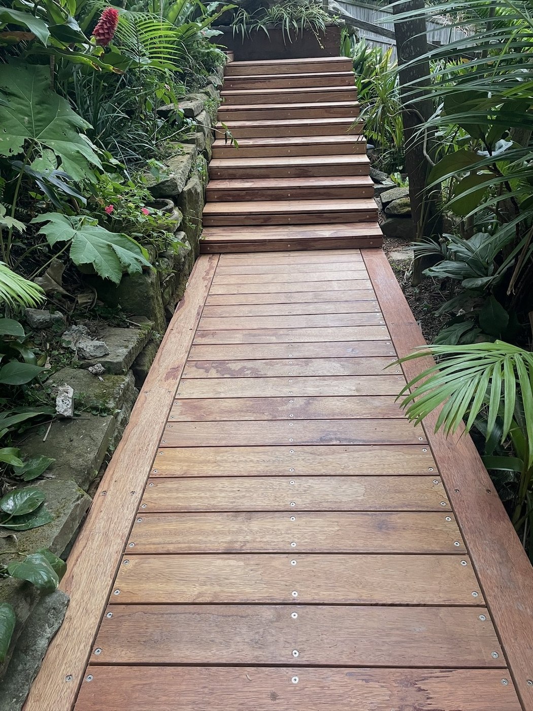 After: finished timber boardwalk and garden steps