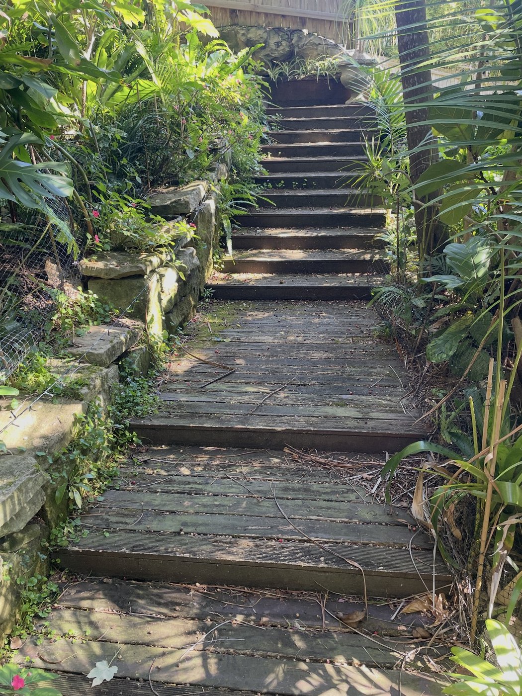 Before: old worn timber garden steps