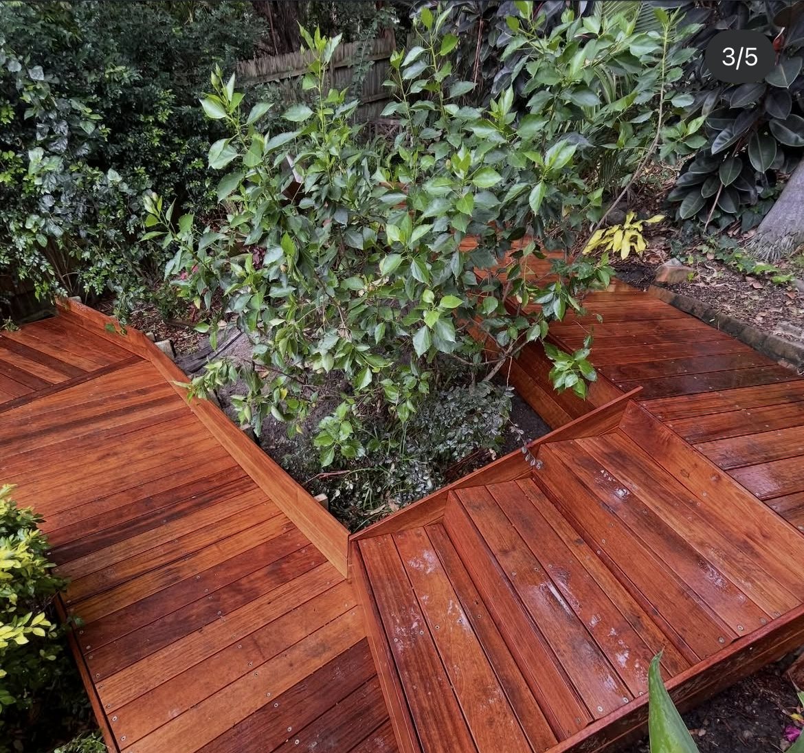 Merbau boardwalk crossing through garden beds