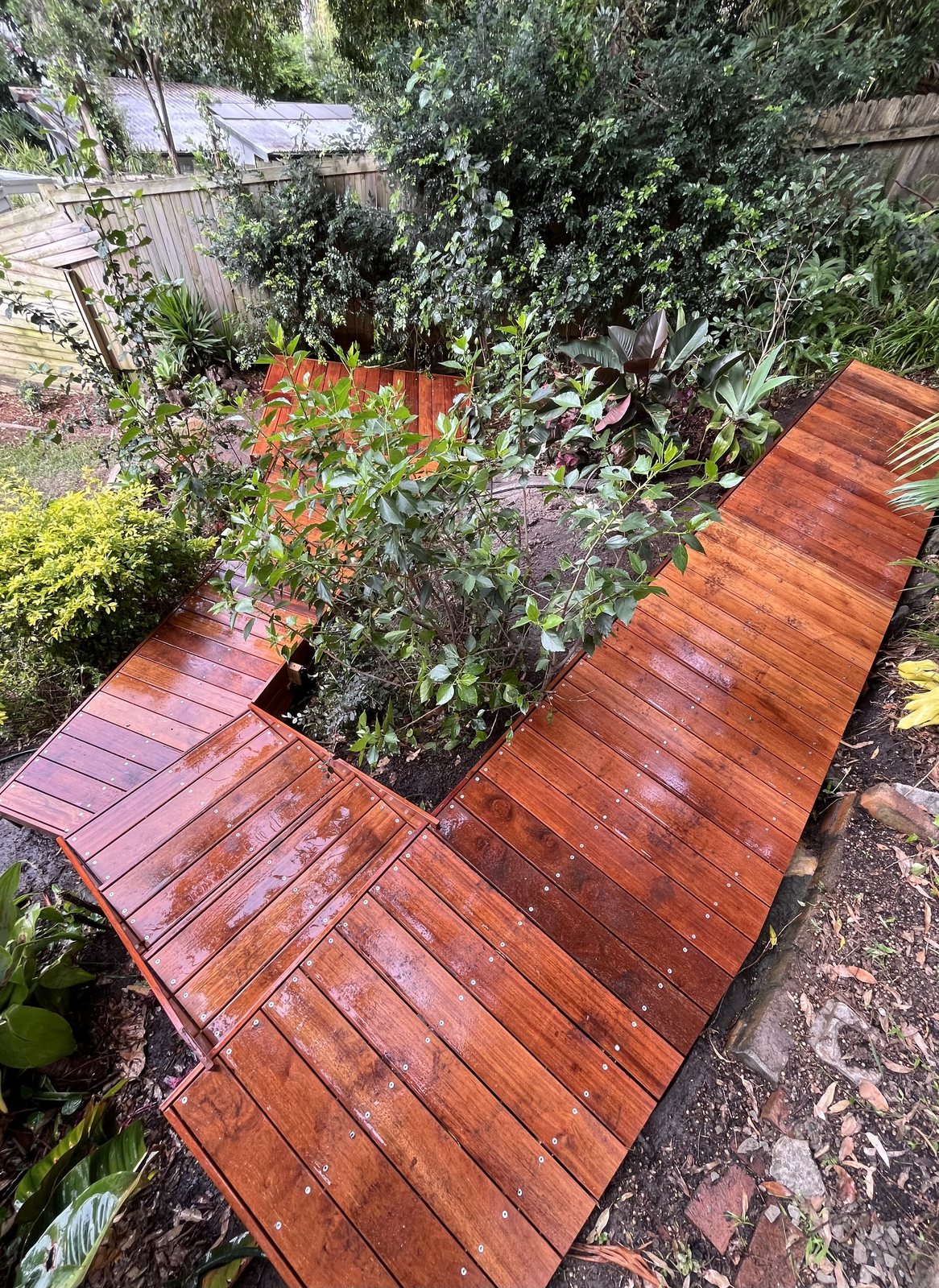 Garden boardwalk aerial view