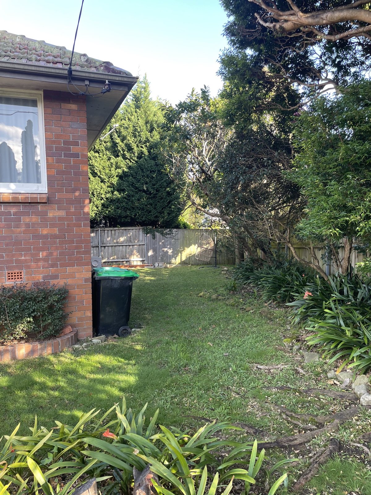 Before: open side yard with no dividing fence