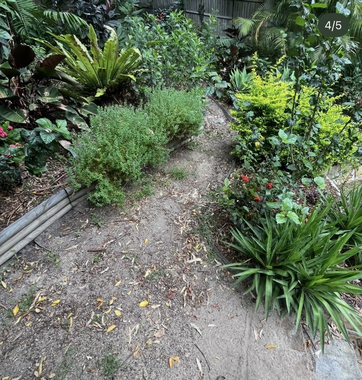 Before: dirt garden path